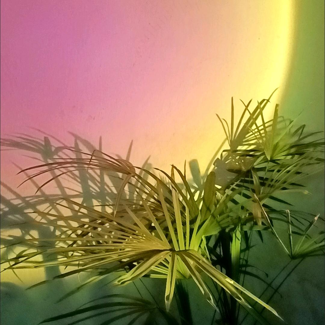 平平淡淡