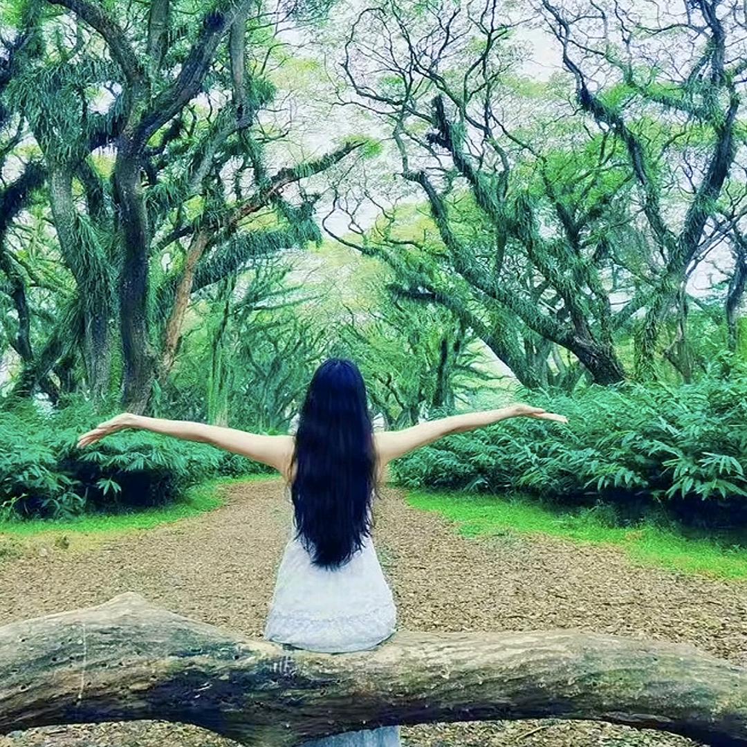 星期天✨