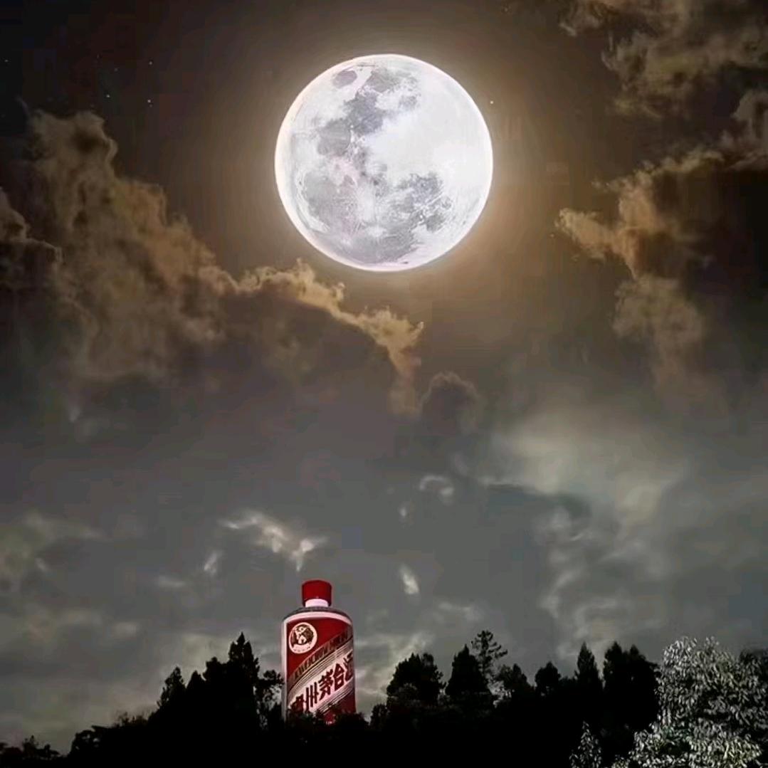 中国酒都 香飘世界