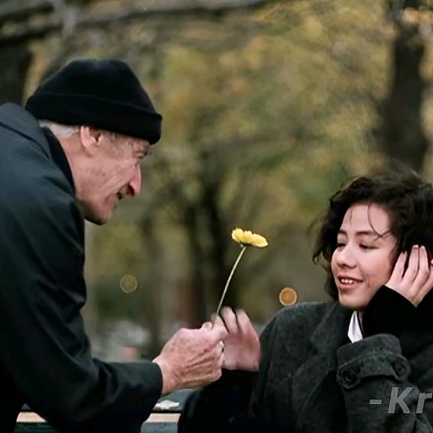 东北🌧️姐梦男