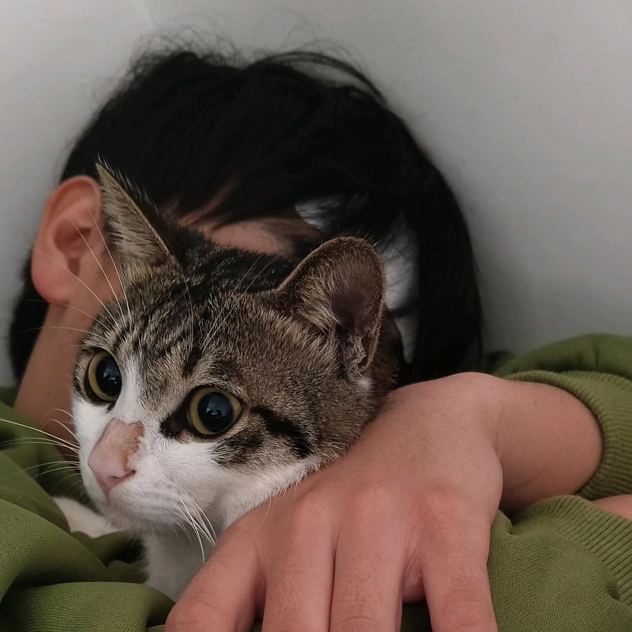 齐物论小课堂开课啦~🍐🍐🍐🍐🍐