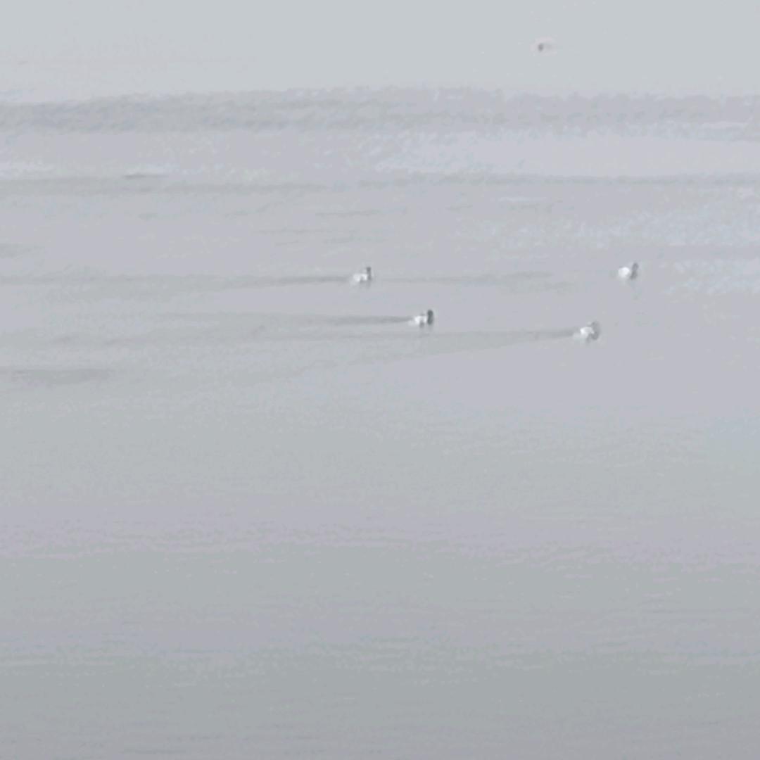 诗万圣