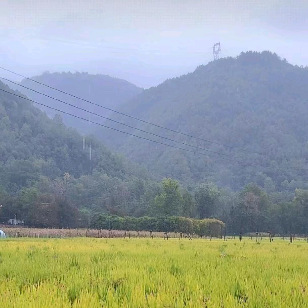 难忘岁月