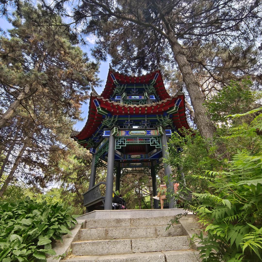 不知道起什么名字