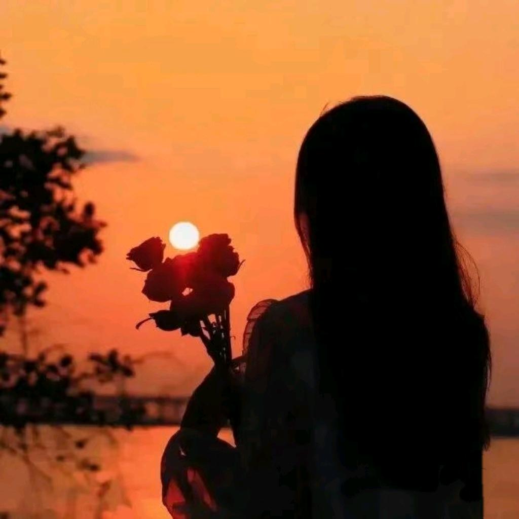 林影视