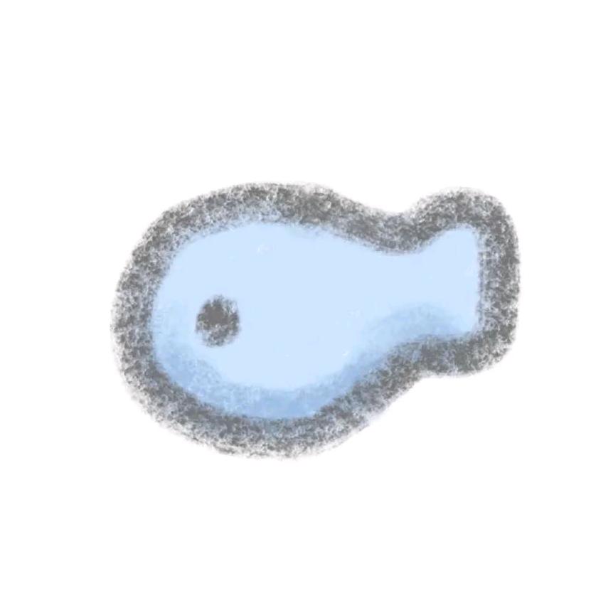 不会拍照的小杜