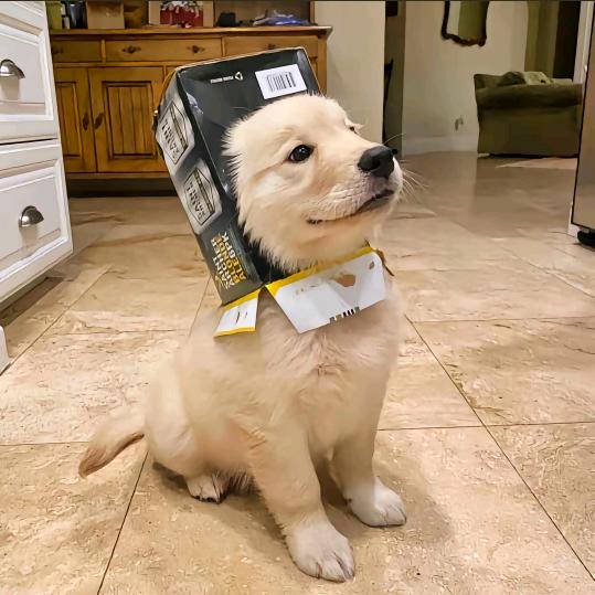 hfiicduibfyhdhzehknx