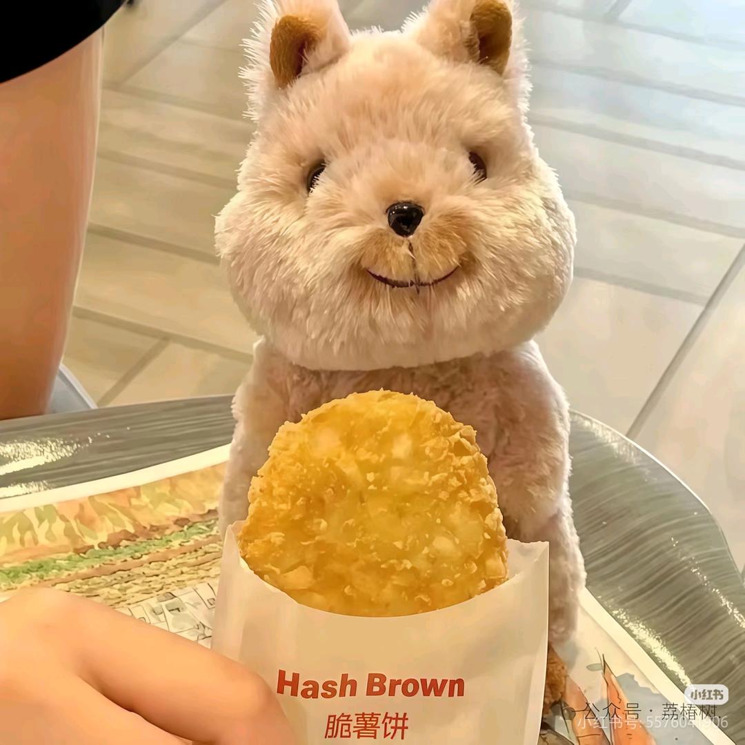 hhhhwww