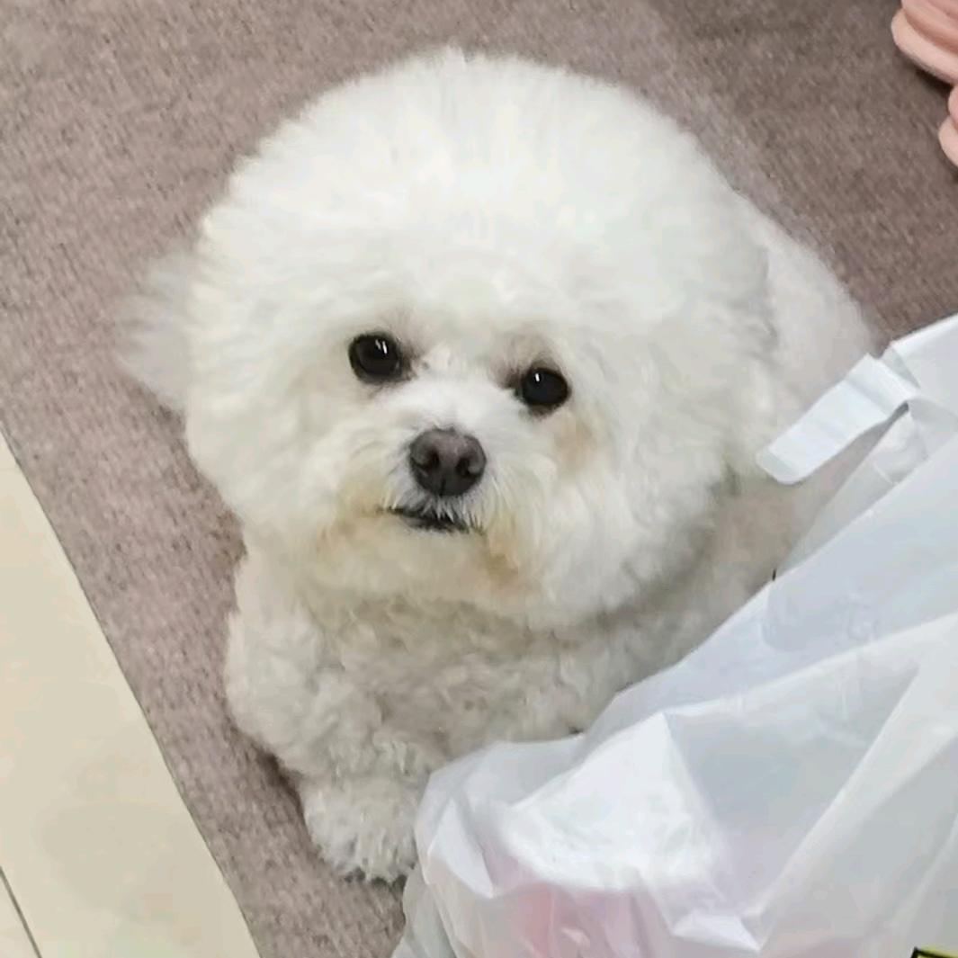 结局