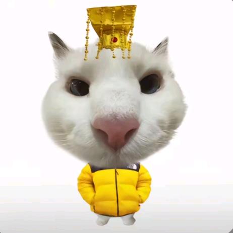呜呜呜呜qwq