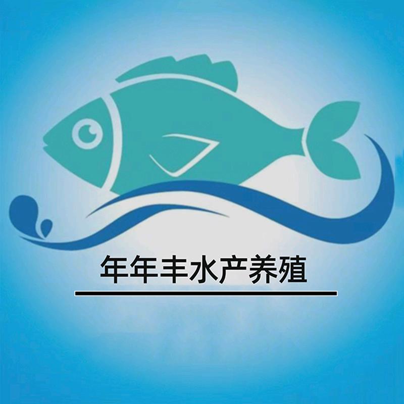 年年丰大型鱼苗培育基地
