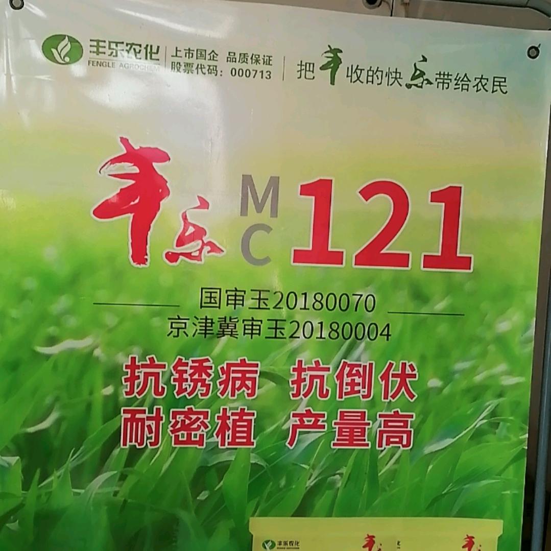太平庄种子站杜晓明