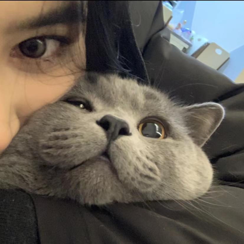 小贝
