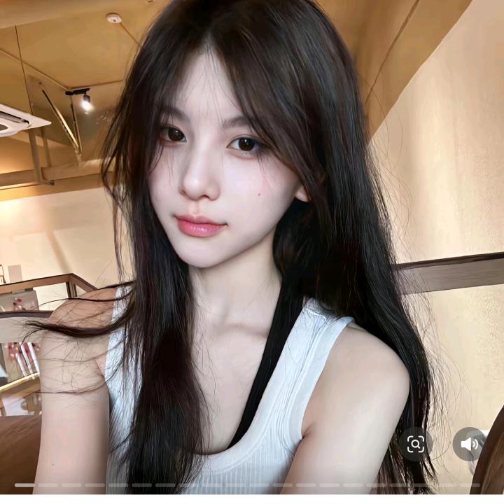 小泰迪