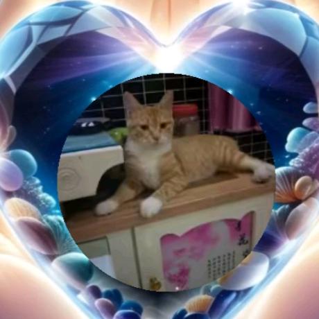 没人疼的71年笨笨猪