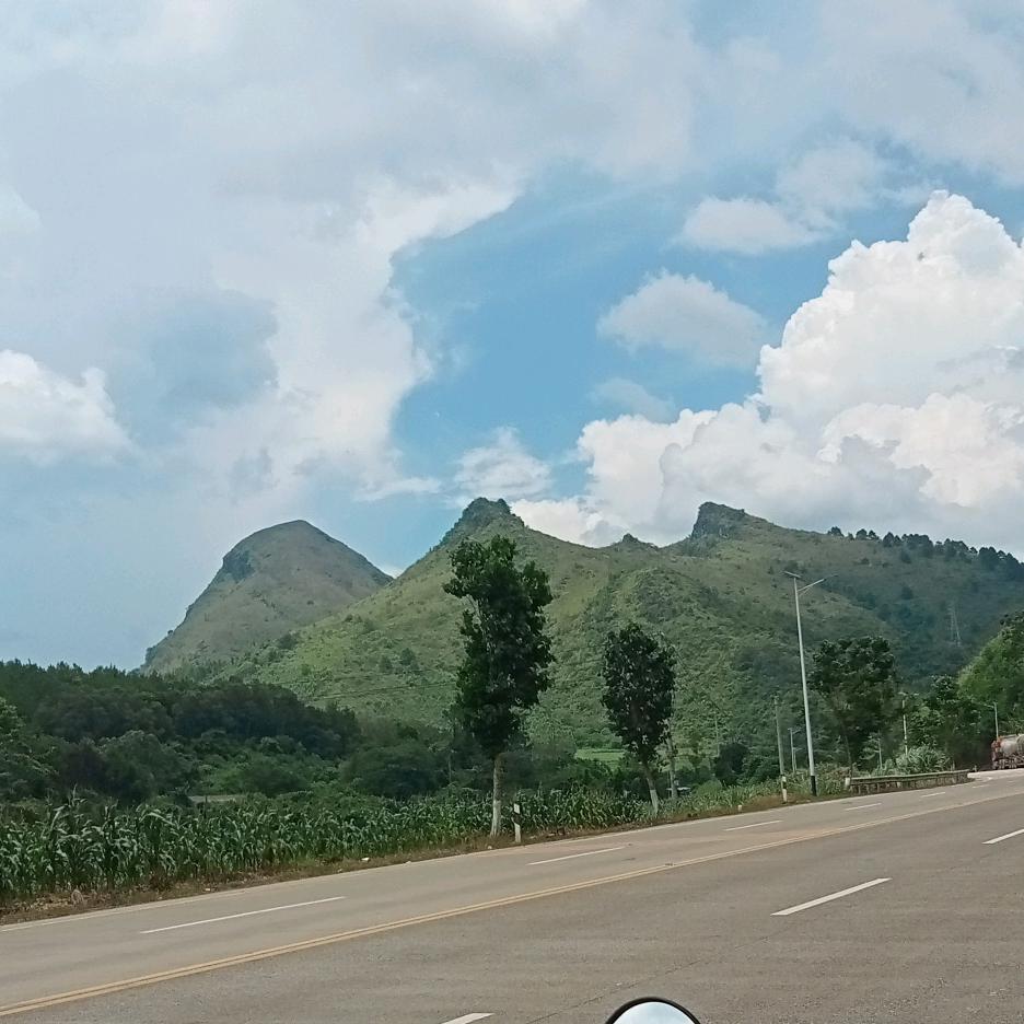 高山流水遇知音