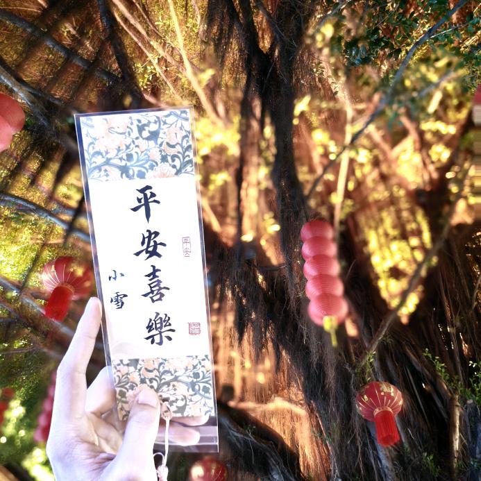 李大爷70岁离异有低保