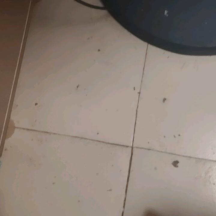 终其一生，满是遗憾