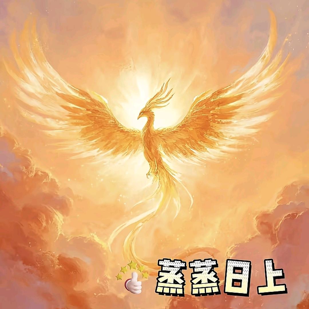 至爱❤️经典衣衣