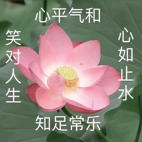 崔宇泽