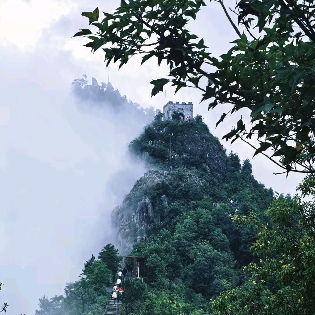 @80后的大叔🐇🐇《专业地暖回填》