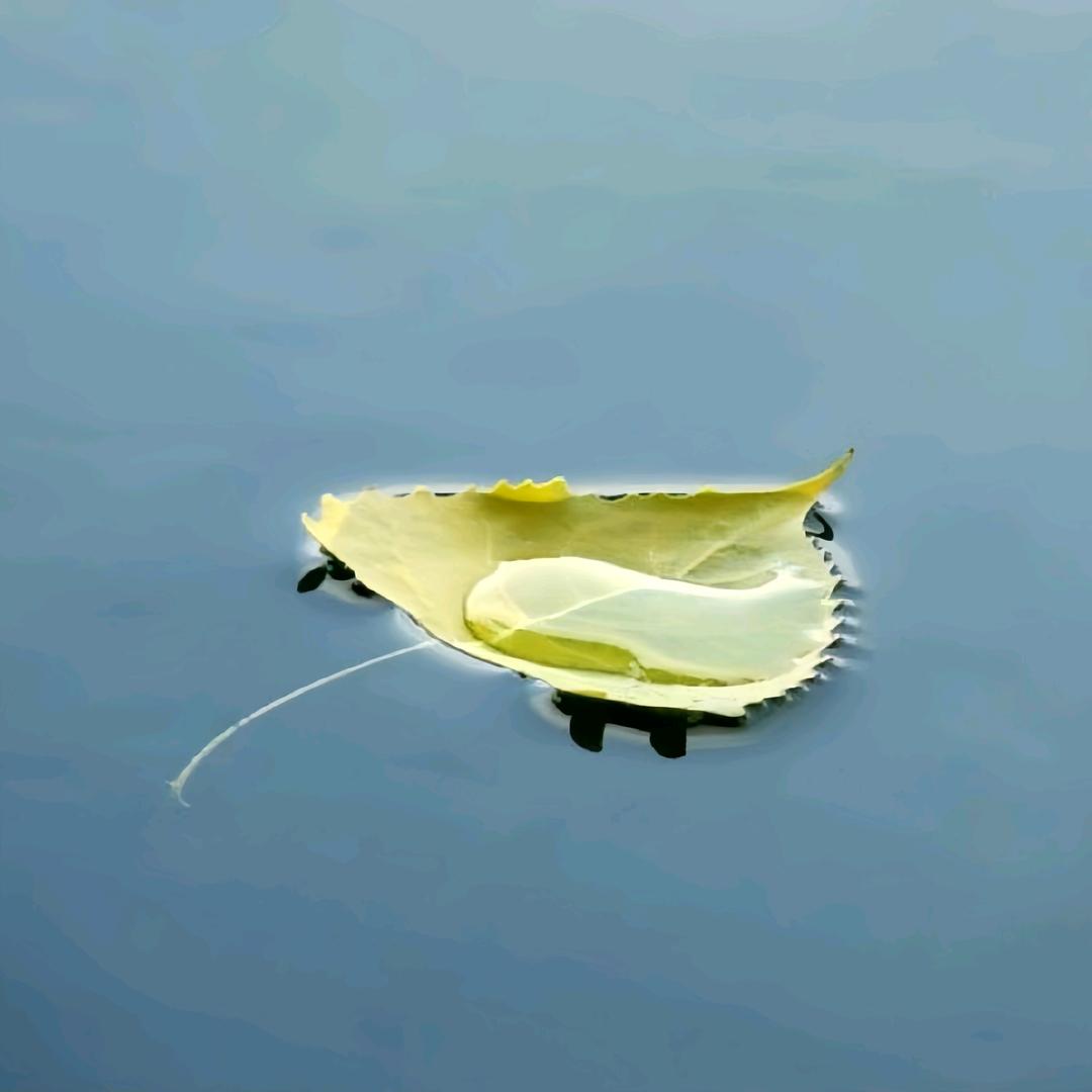 心如止水0310