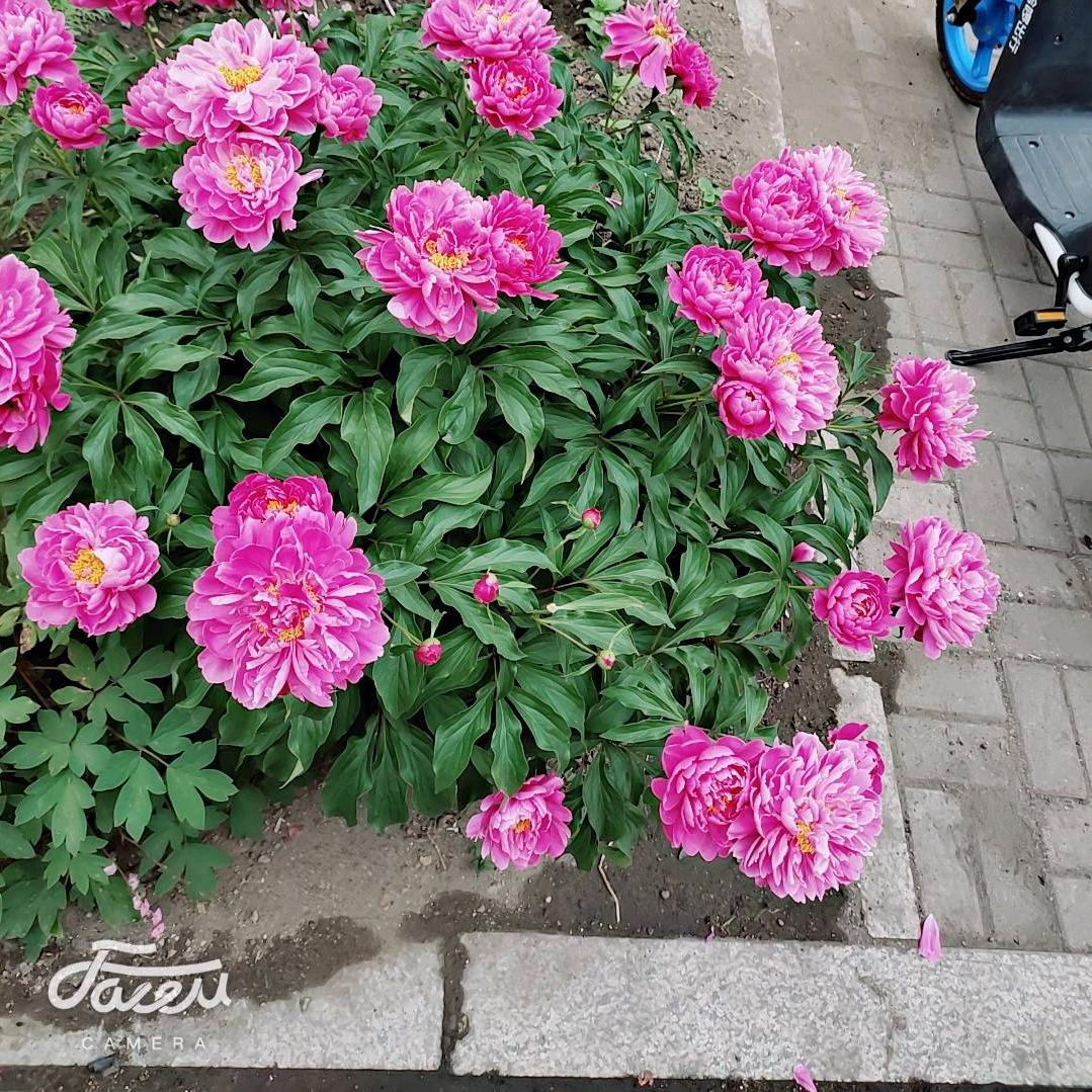 龙凤胎妈妈👩🏻