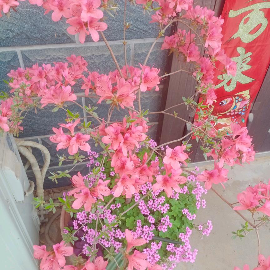 删除回忆！封心锁爱！