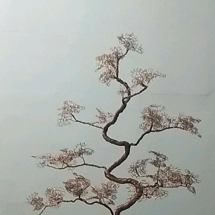 🌈美好明天