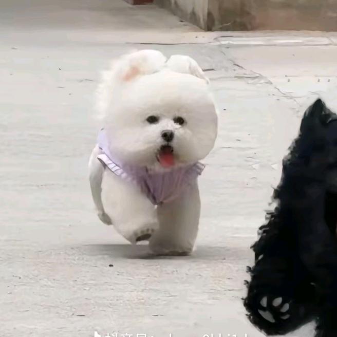 小新卖ℳꦿ꯭꯭蜡笔᭄