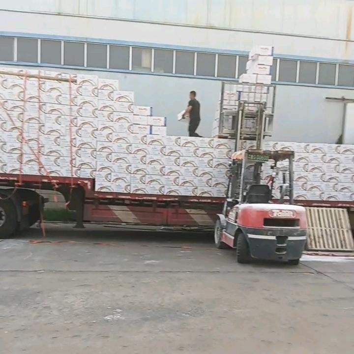 泊子专业装卸（阔了不滴连）