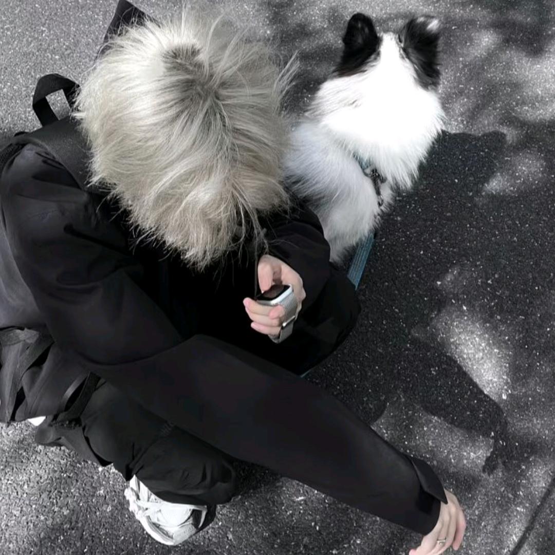 鸭鸭