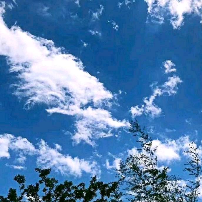 ★蓝天★白云★