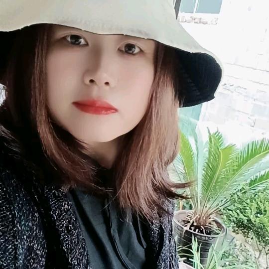 琴丝