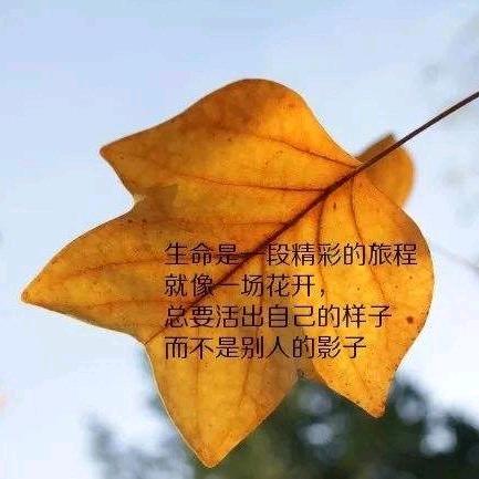 与众同乐平姐