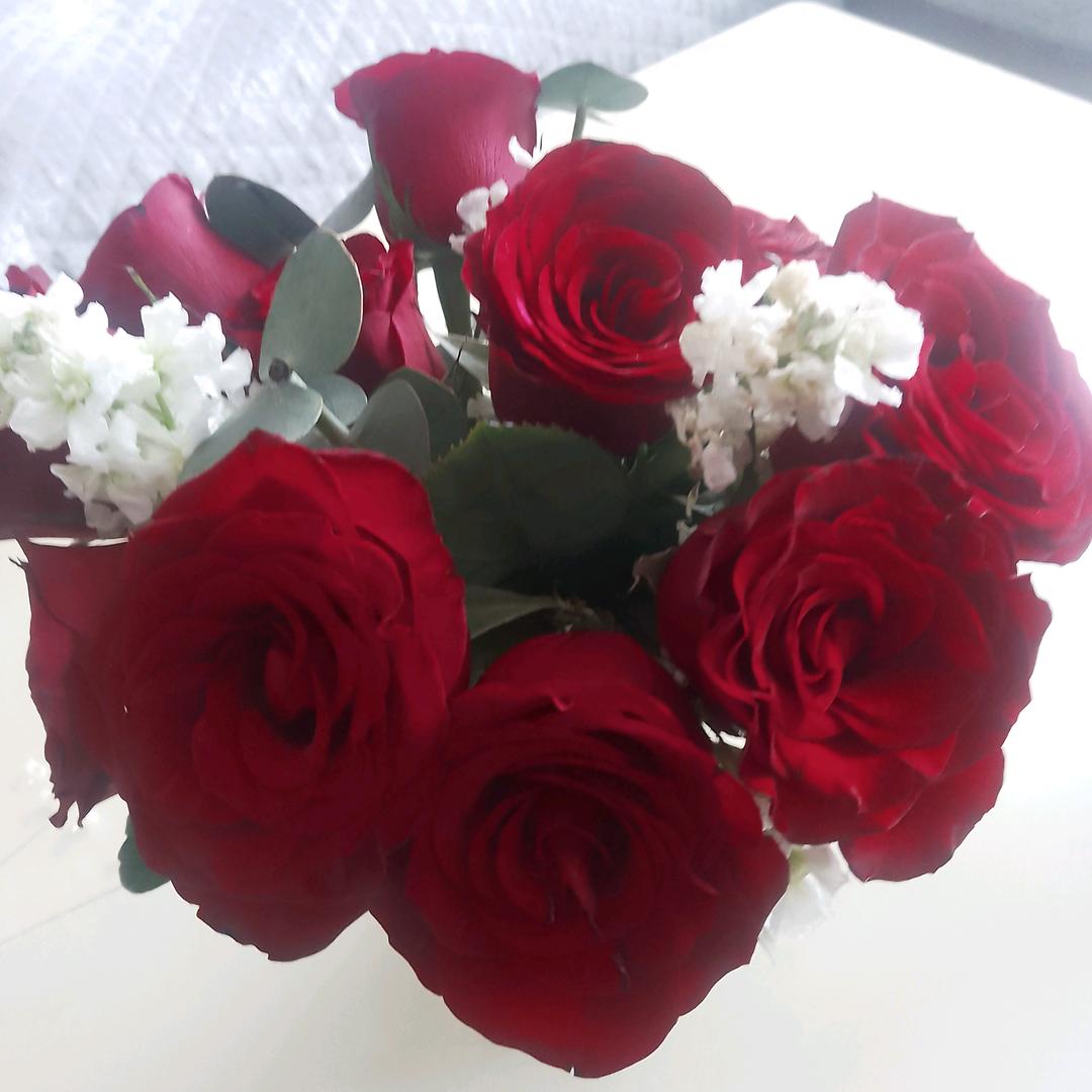 🍀未来会更好🎄