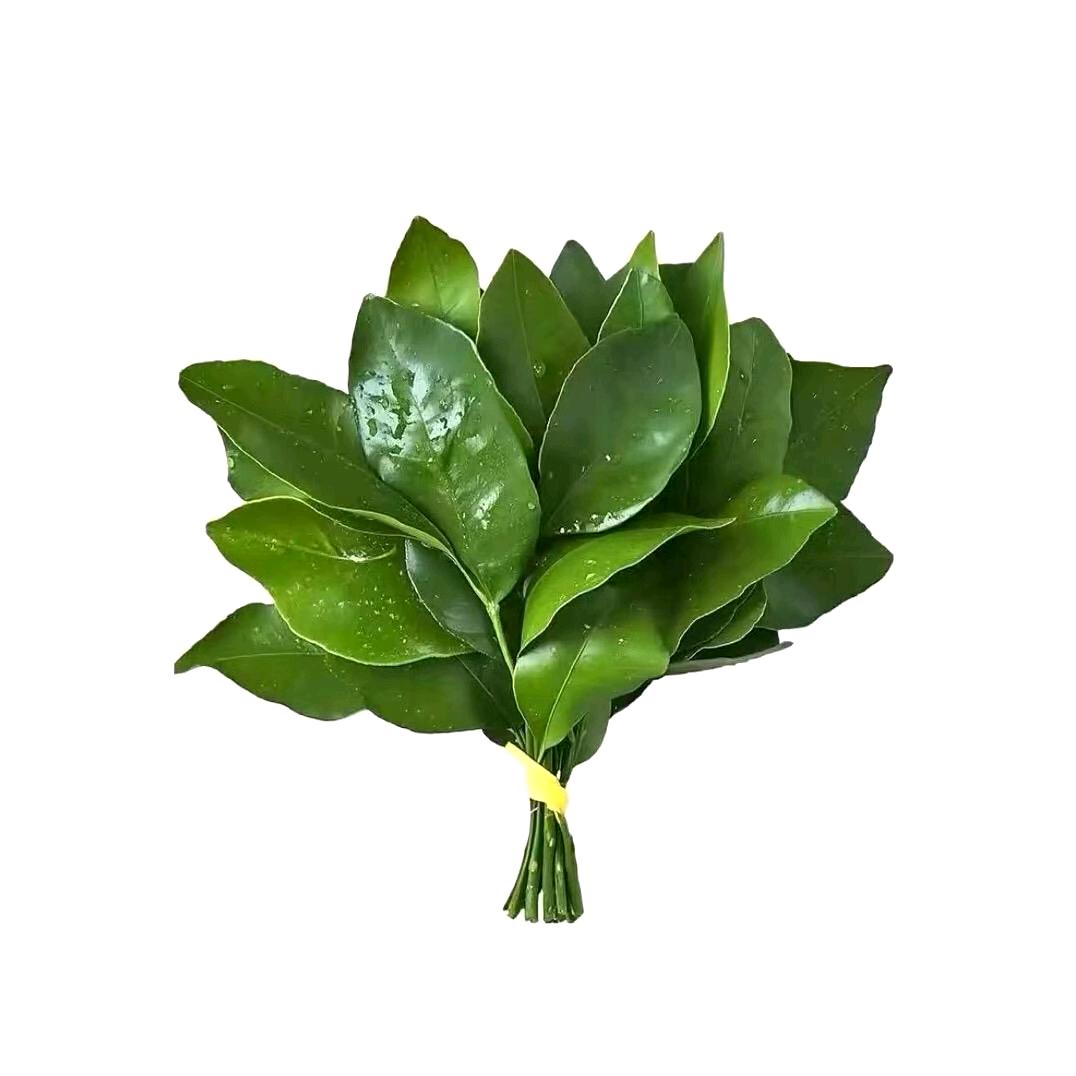 艾上燃燃