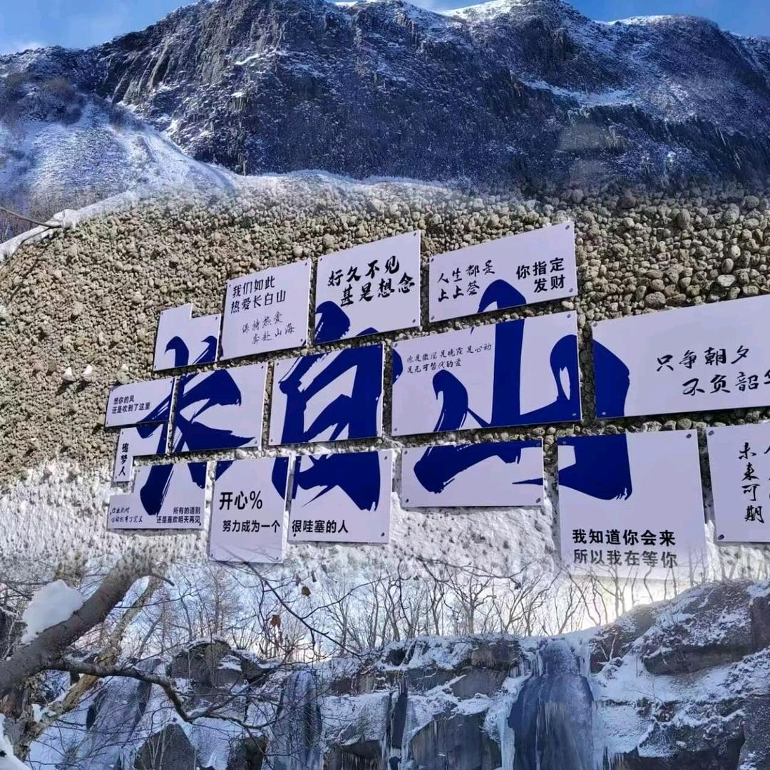 旅行领队、小高