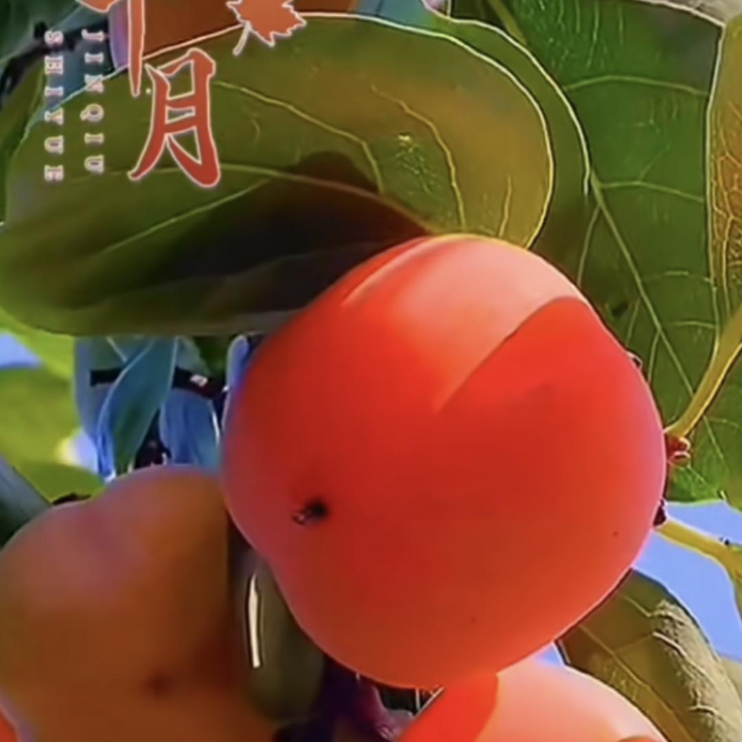 下半夜和你一起过