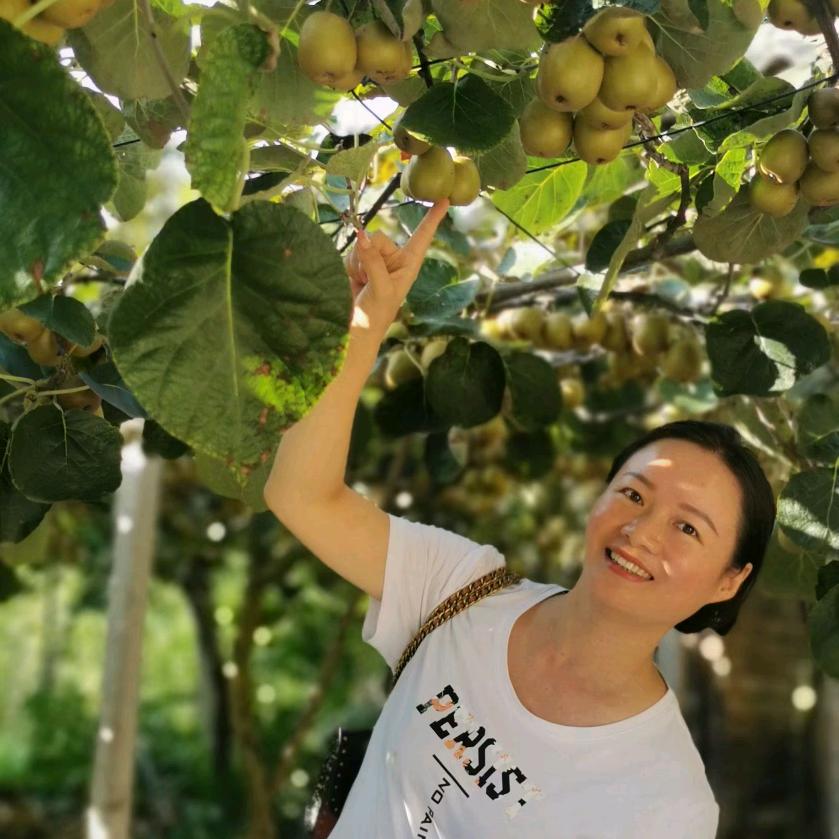 苍溪佳猕沃农业科技