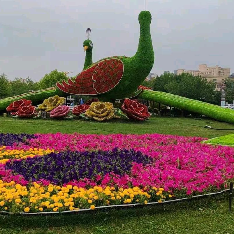 新净.继峰