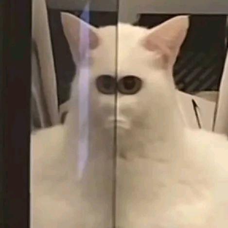 荷花（秘法狂潮）