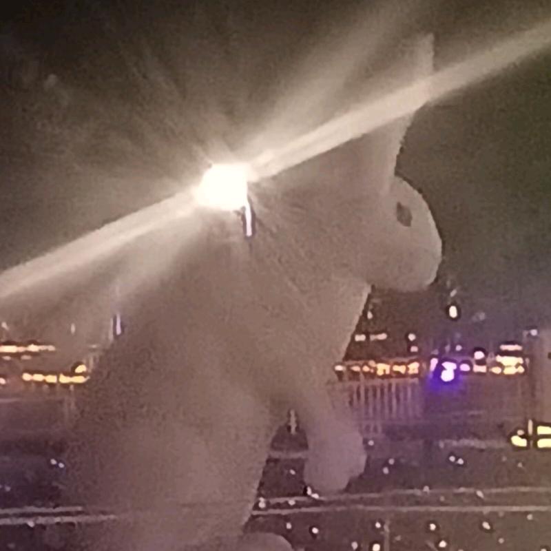 三分之一🐇