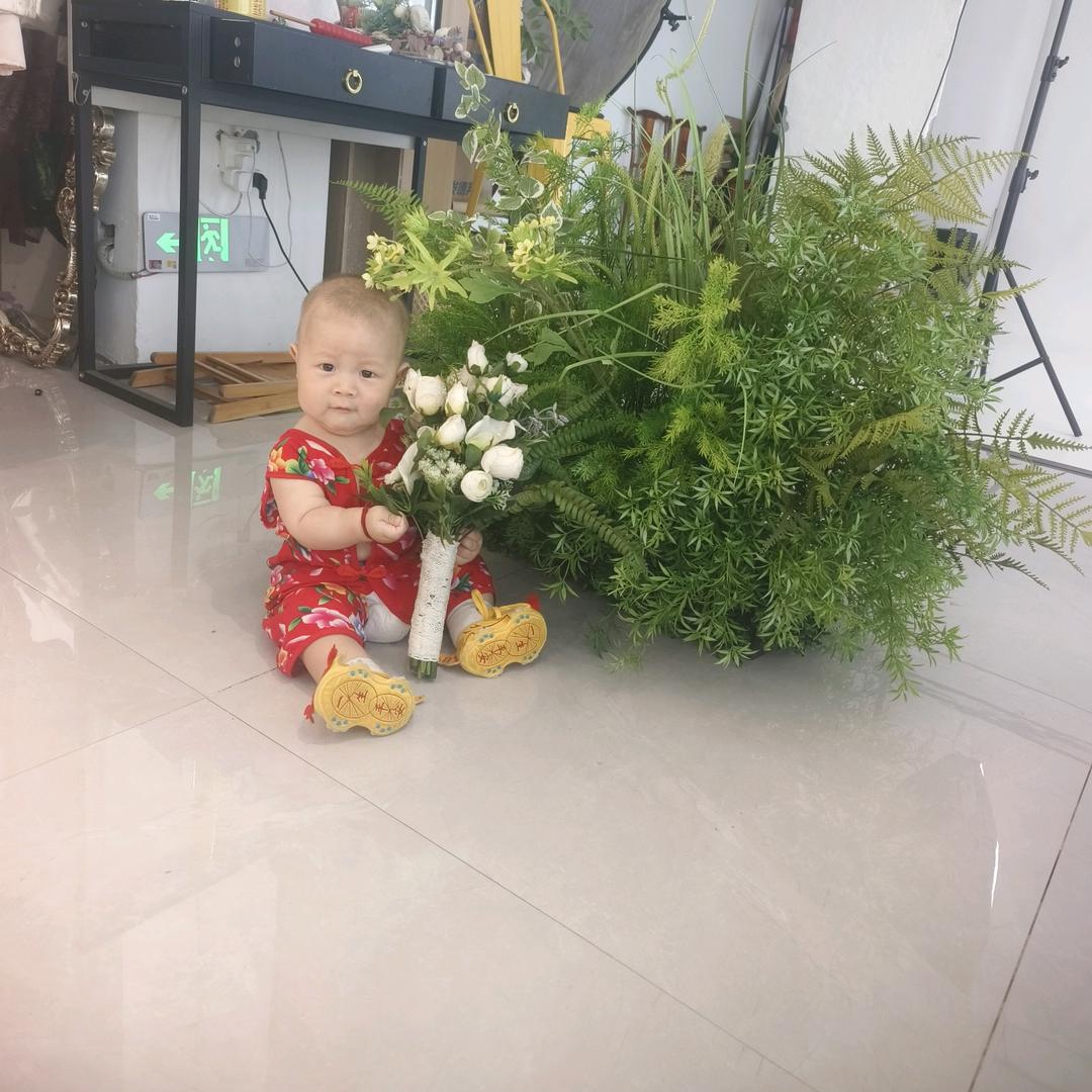 从头开始