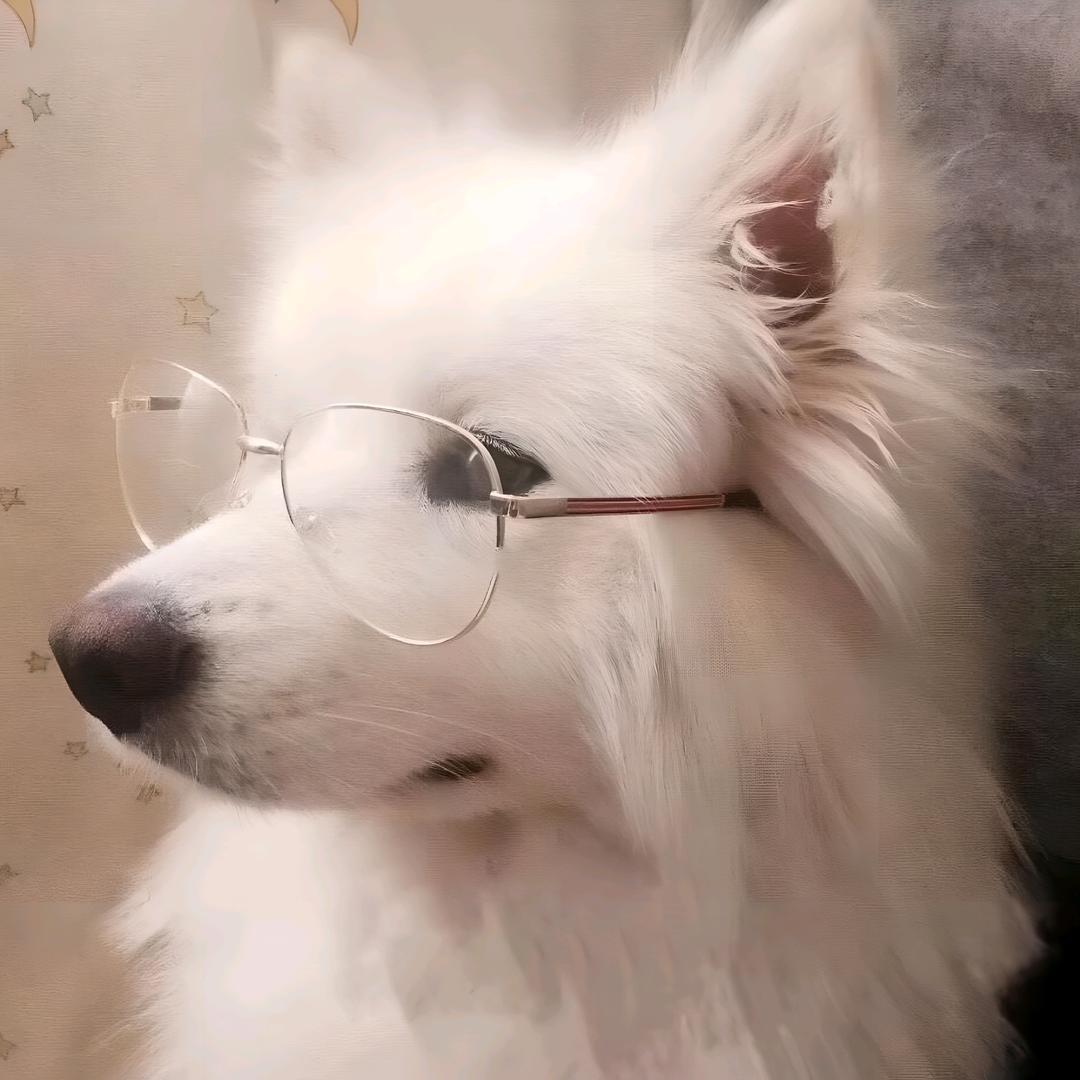 森壬头像