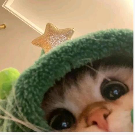 汀线