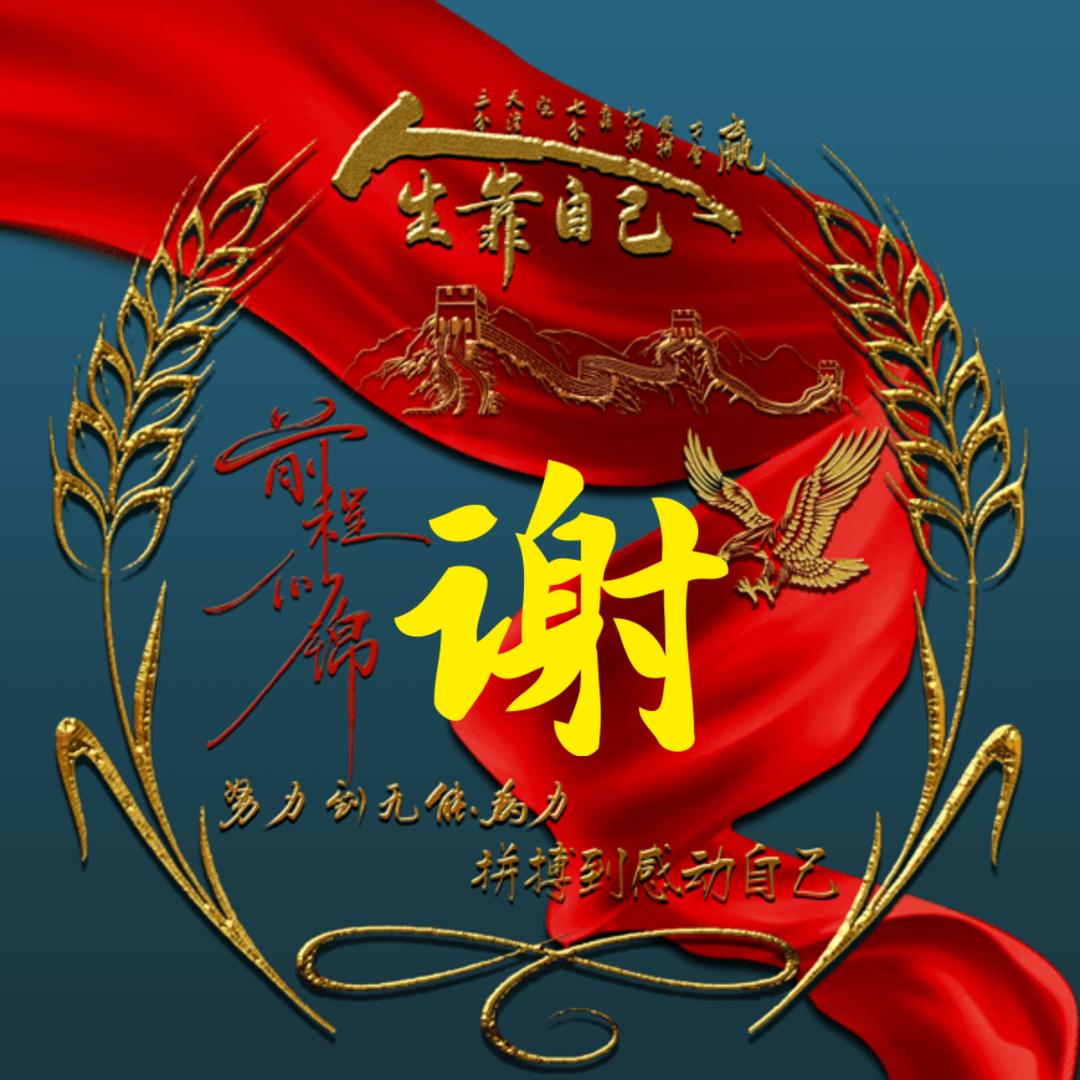 习惯了一个人