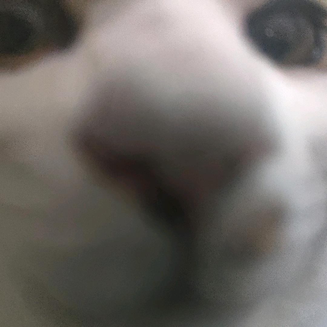 生瓜蛋子