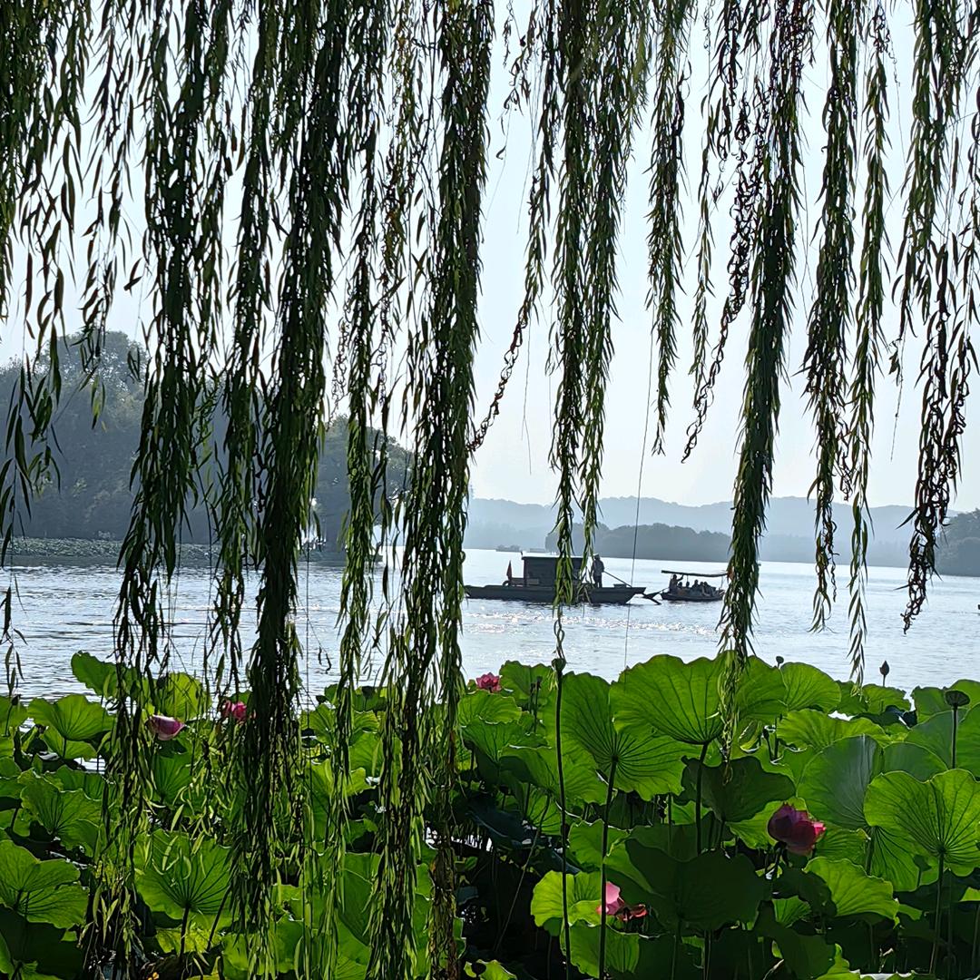 赤橙黄绿青蓝紫