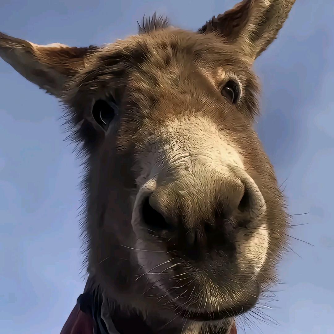 🌈我叫章小妙✨